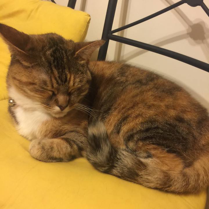 3111e3b4 48b8 4979 b29c 1d2fbdd73153 1556118789474