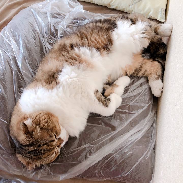 3111ef36 8762 4331 9570 015ca034c72d 1561550026112