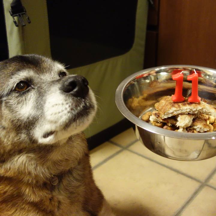 3111f45c 430e 43e4 a402 2ecd3f1631e0 1655601691376