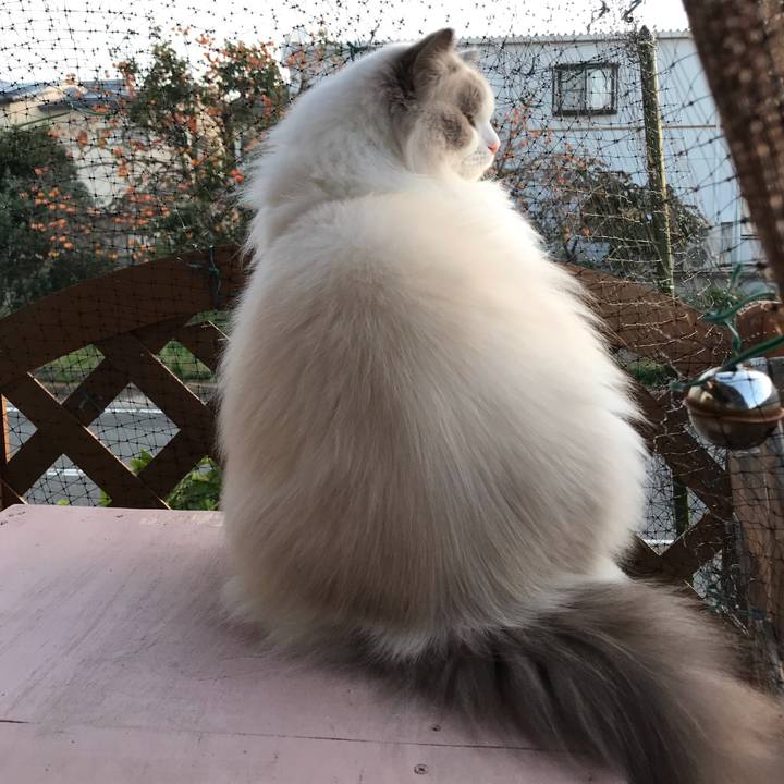 311215ff d0bc 4615 a487 cc43f3687656 1572644352979