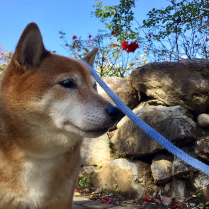 311222ae e69c 4898 b30b dc91237c48d6 1573193679237