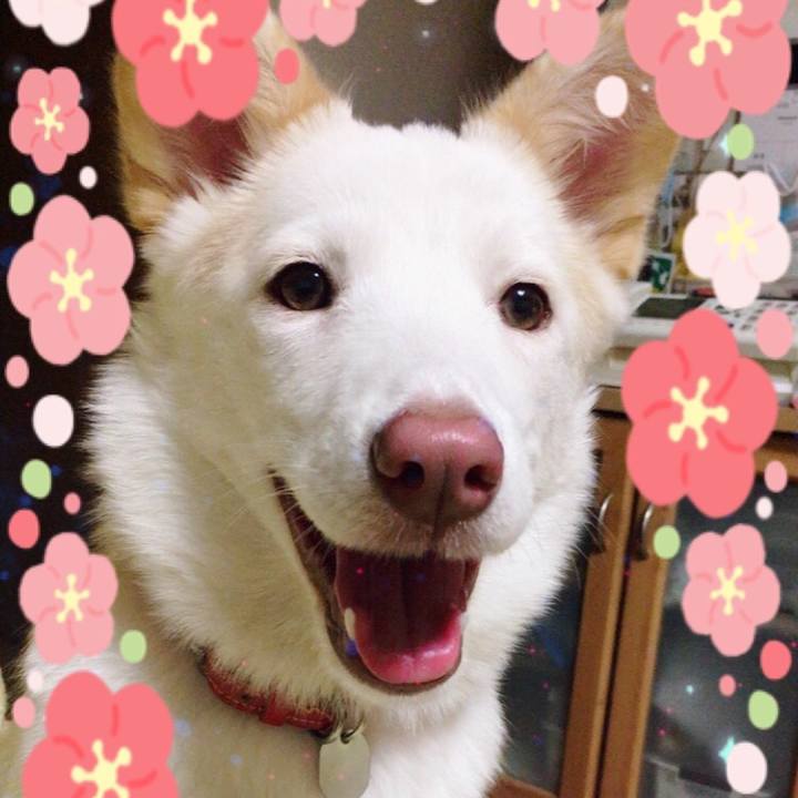 31122bbf e58a 4ca5 b671 b8bd8bc616fb 1546347231415