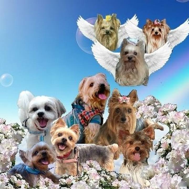 31127213 2444 4005 be9e b37a89956e82 1654062791271