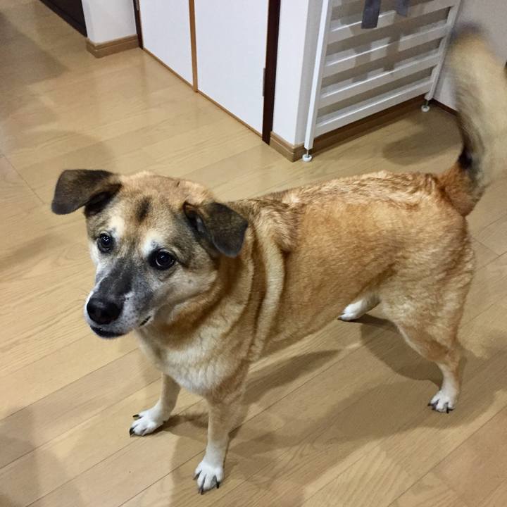 31127d7f a5f8 48e4 be52 f4e2cb22d45f 1542550015331