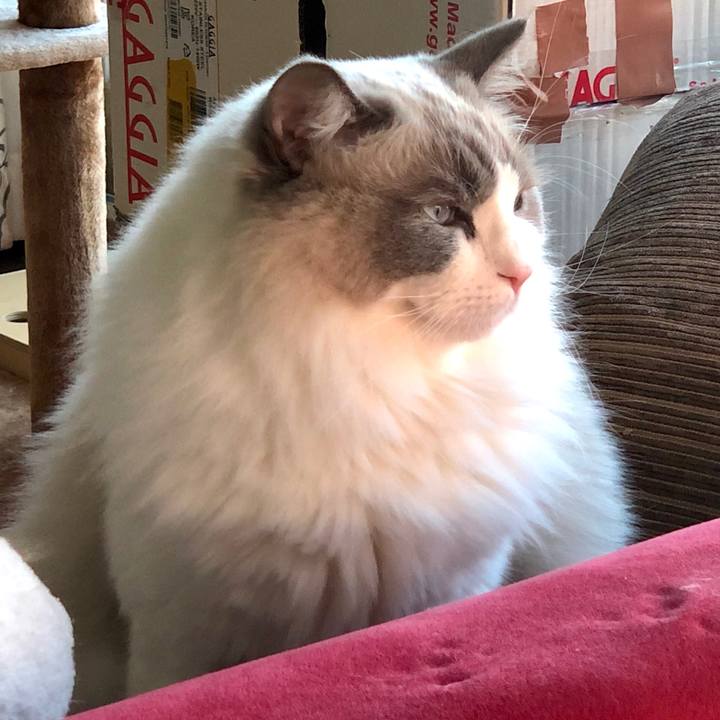 31127e29 7d10 4aa6 a599 a4a74195c4a6 1608285410624