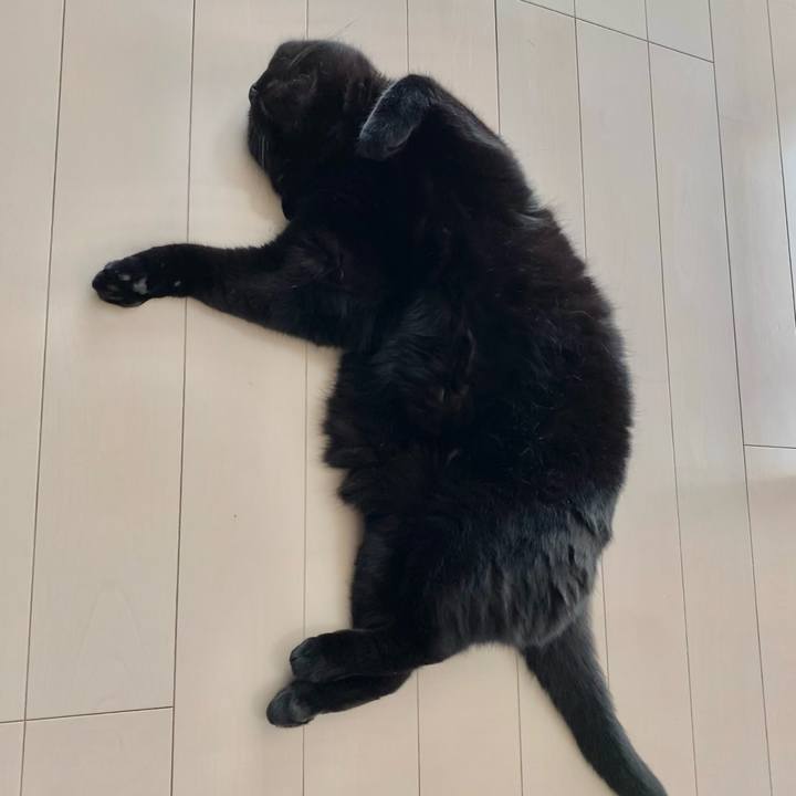 31128624 8d07 4787 a71f 4878237b926b 1656143124355