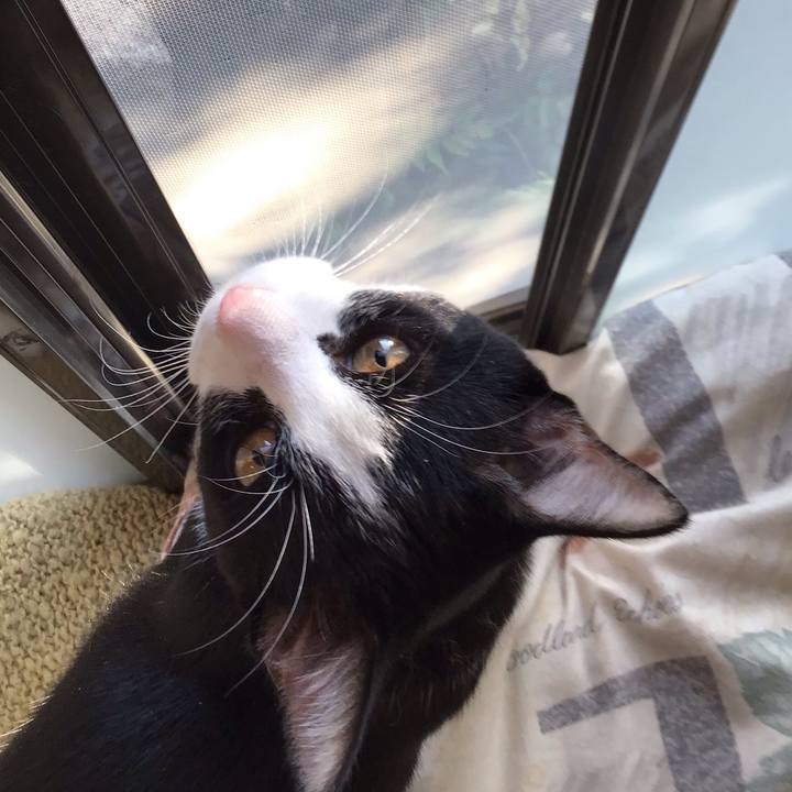 31129509 cd99 42fa b2bd 87bb050edf10 1636171651497