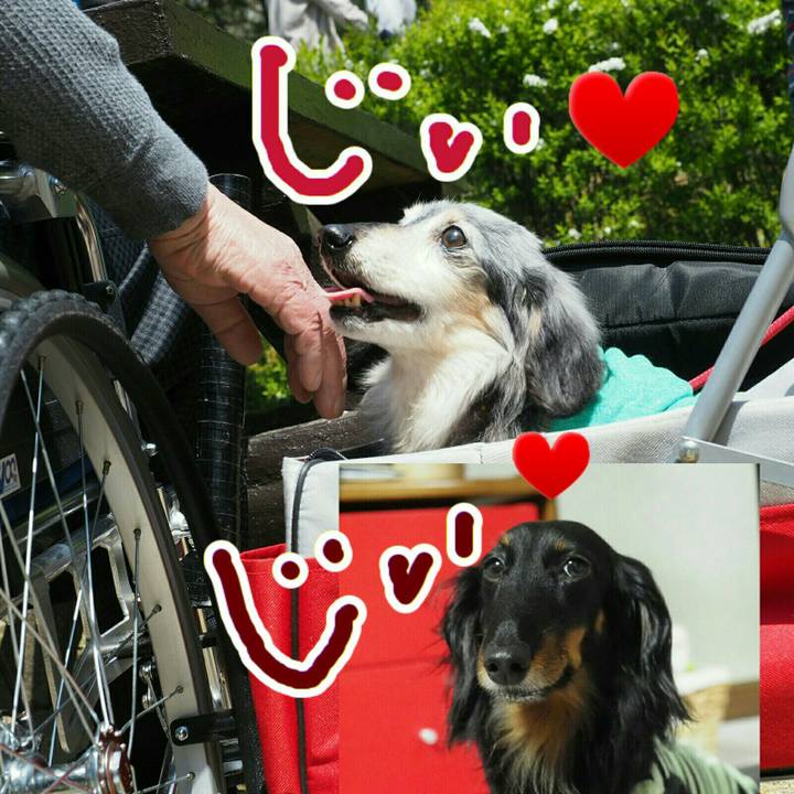 3112ce80 768f 47fd bce7 38c1d39629f3 1599976185708