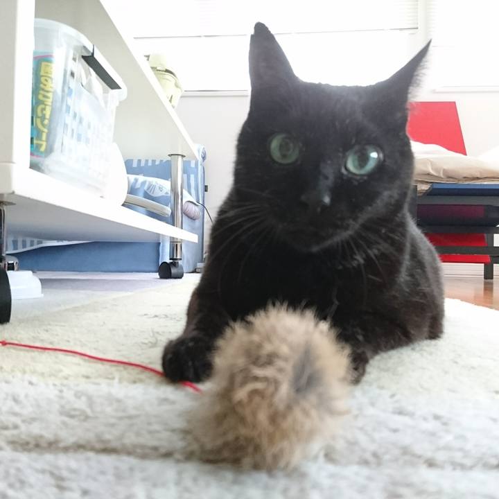 3112ec0b 19e4 4ba5 bc18 855a0e25b983 1585896536643