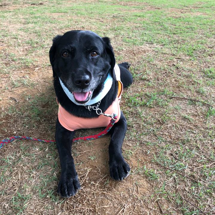 311303be 0654 4964 9eb2 86a5b023c2c7 1531291510701