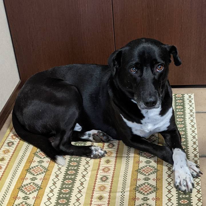 31131fe2 335b 400a 8629 94600ae5cc1e 1630911991798