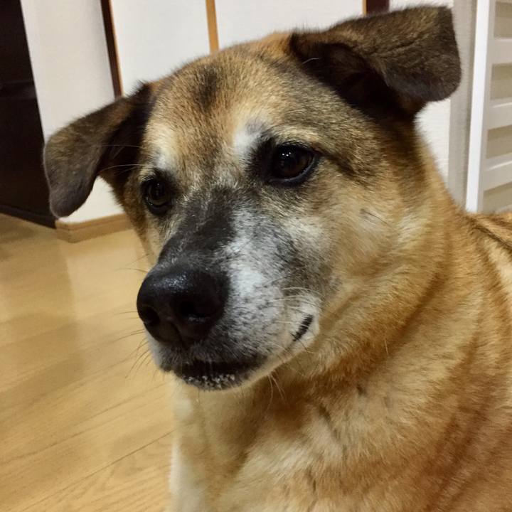 311320b9 6327 4e7e a303 ffe5ee5e07c2 1571489023687