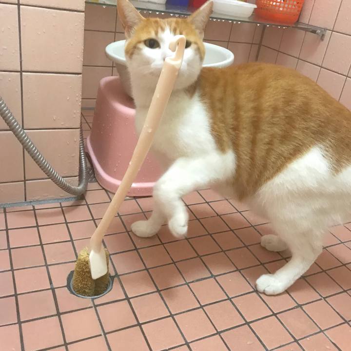 31132176 c857 49c6 92b8 511b4f417a4c 1512111334055