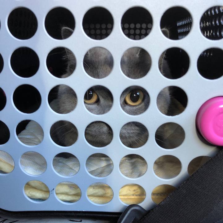 31138654 a28e 4569 a6fa e43ed0e0bac7 1545887348861