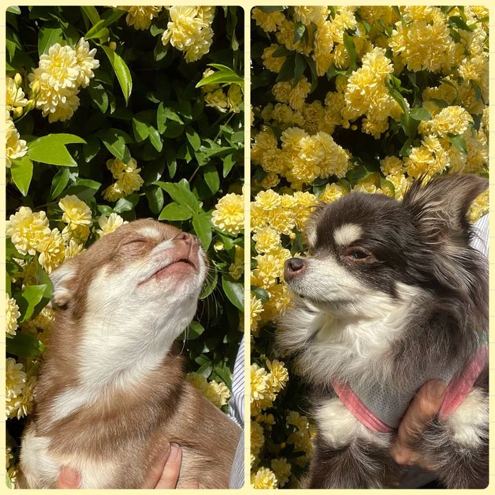 31139673 4ce0 45e5 9ae4 3a0f38e98450 1681195831271