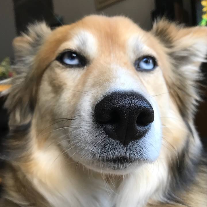 311410e8 88bf 46d0 9862 bc98156a76b0 1523852321898