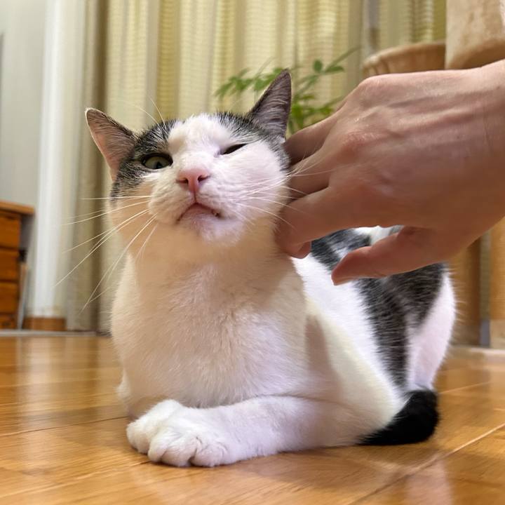 31141afb 6d86 4760 8c22 094e394989a1 1719481066229