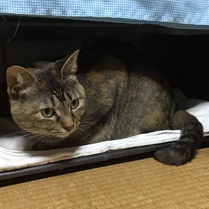 31141e49 1736 4969 ba2f 5b04884cefd5 1679746400664