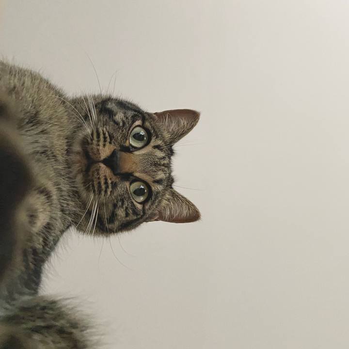 31142028 e991 4e7d b600 b96fe504cb77 1651921866415