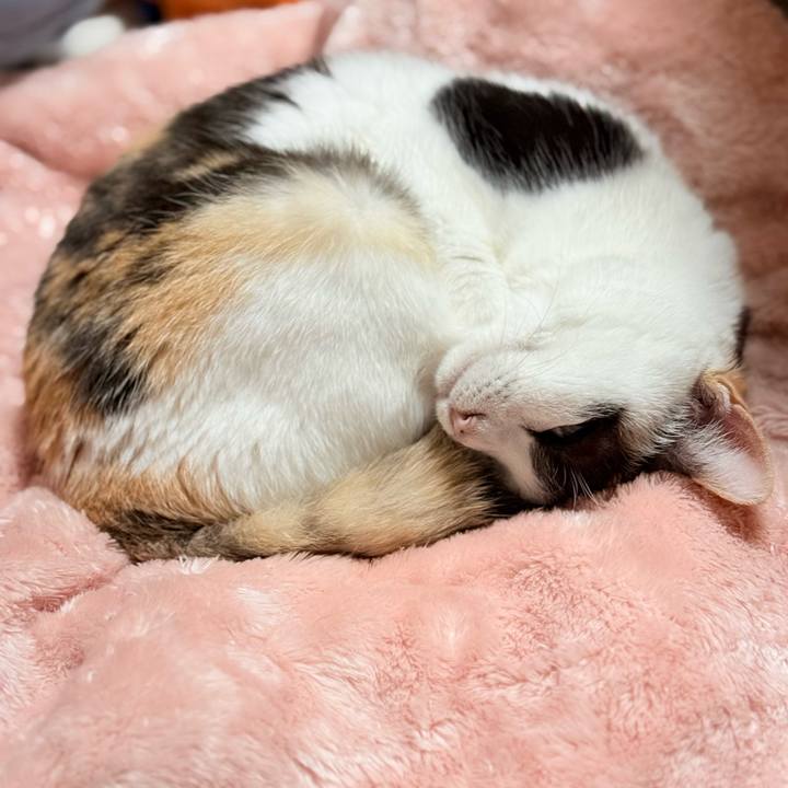 311424b2 b9bf 495b 9780 522b41aed11f 1764207733147