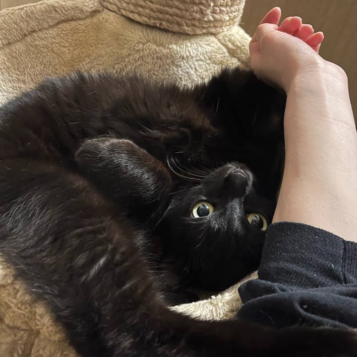 3114368d 1a73 432e ab1e 066227f8c615 1685753498364