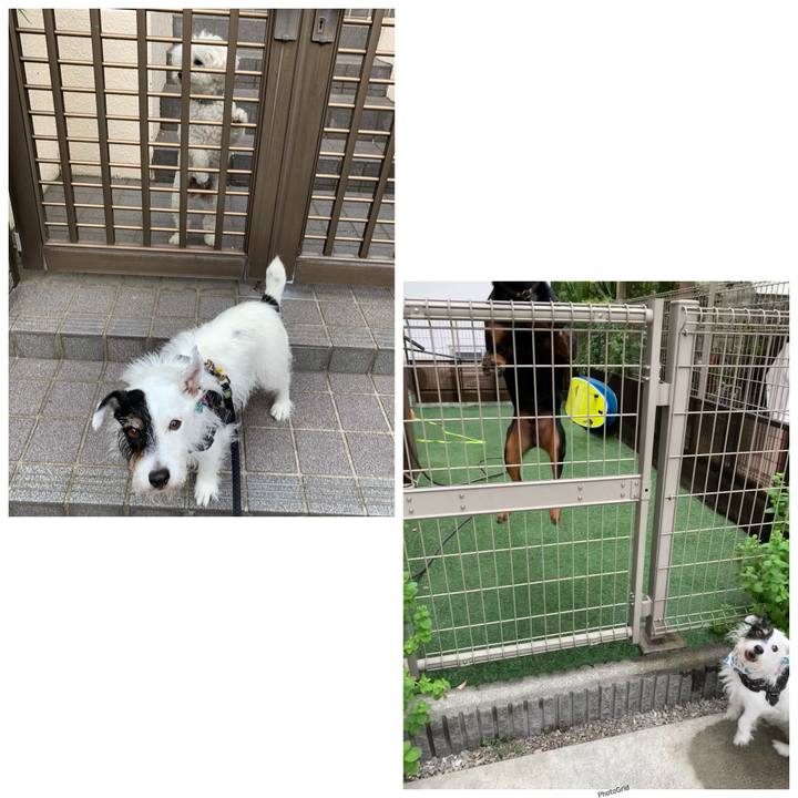 3115071e d948 4d00 8ac2 0b15d9298021 1756940938703