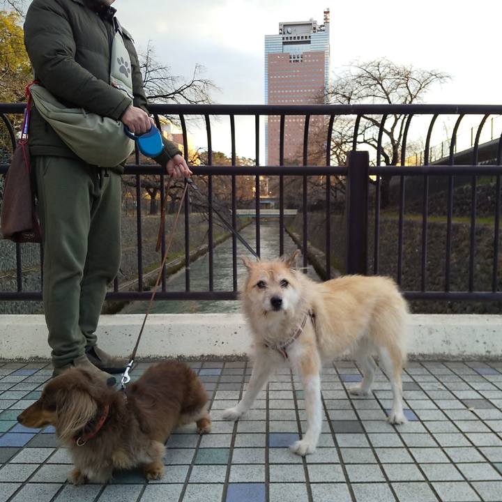 31150929 79d6 4ac5 b05c 24a2e87e366a 1578038995794