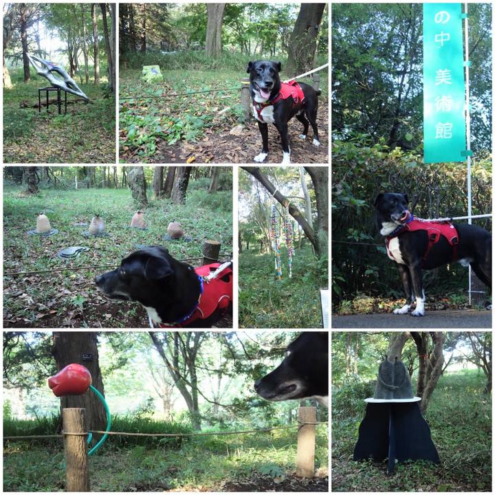 31153594 e82d 475b a1d7 6e6d9f27e8ba 1666486708407