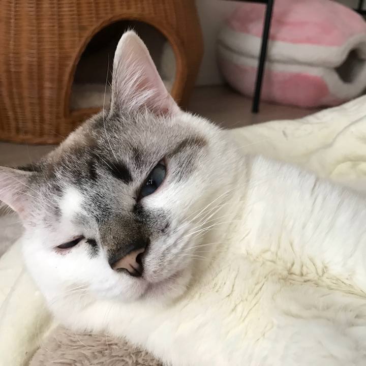 311537b3 f4b2 4789 88ce edd905a67d85 1521065981772