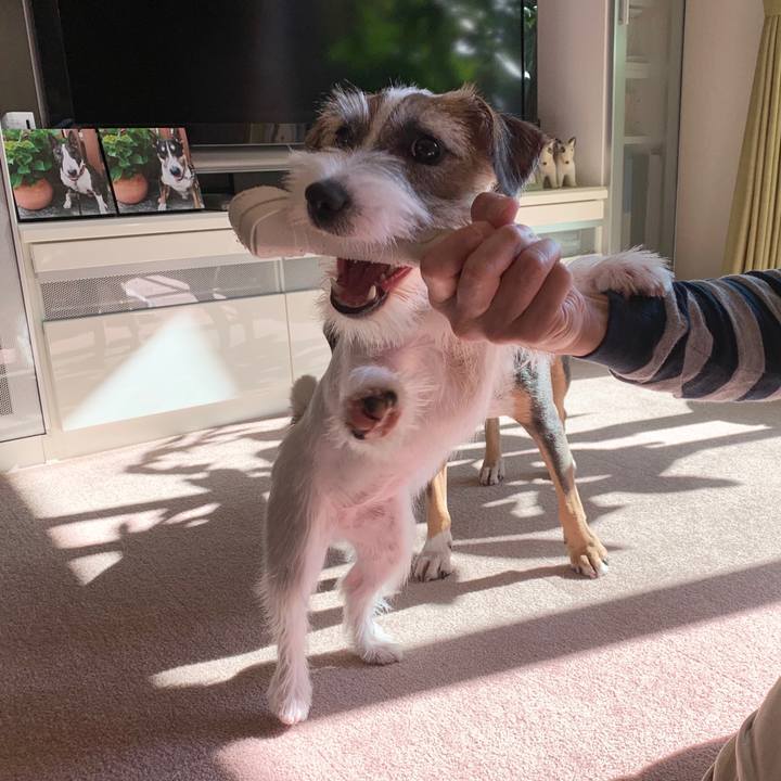 31155d4b 3d3a 4e6b b1c7 7e5fbb95d87c 1572845158869