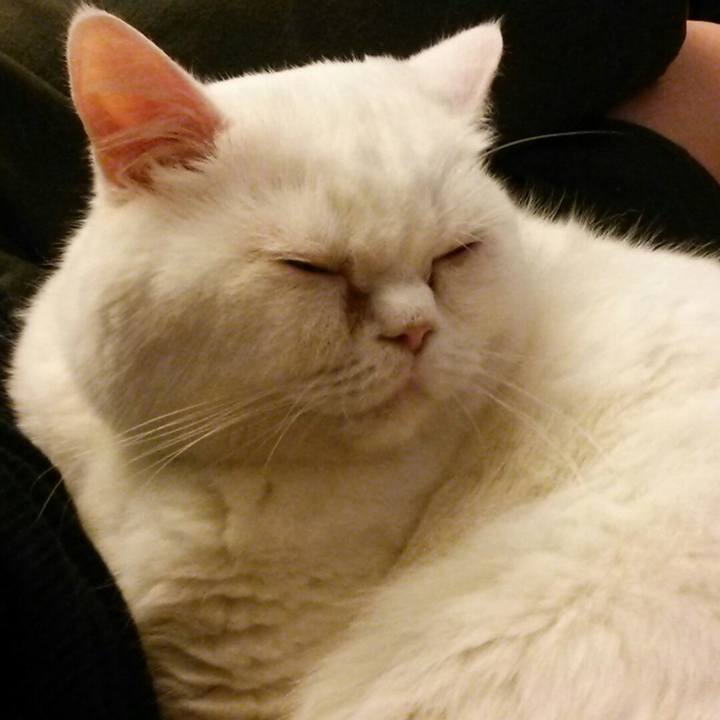 31158129 27a9 4e8a b861 52a5aad73a41 1588945134588