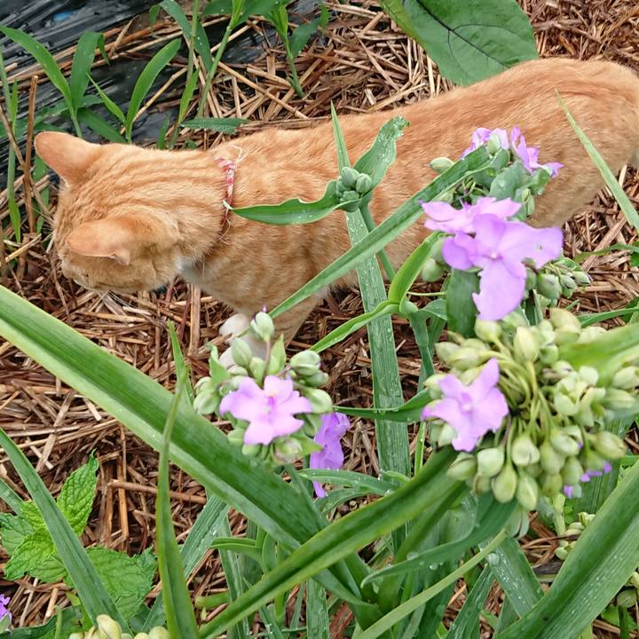 31158b50 45d7 4715 9914 6305db094a69 1563829868765