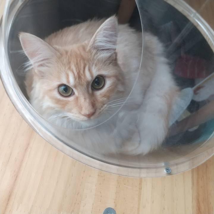 31159683 df99 4cd3 8380 f4c8b72e000a 1624072550504