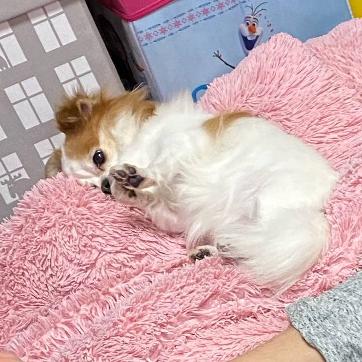 31159c4c 8c16 43ad 8c03 b678bf461a46 1587292422977