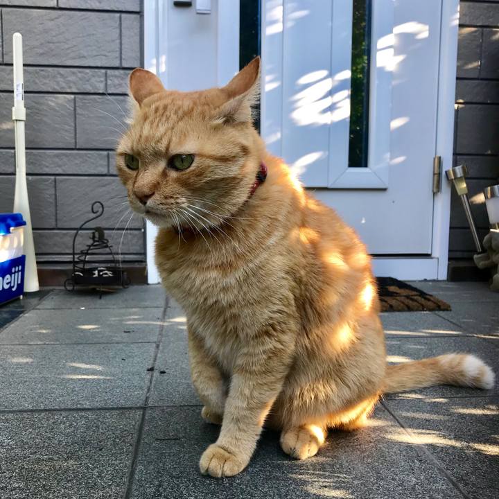 3115a80c b7ae 495d 9ee5 3f9b2b5f6dce 1538002823882