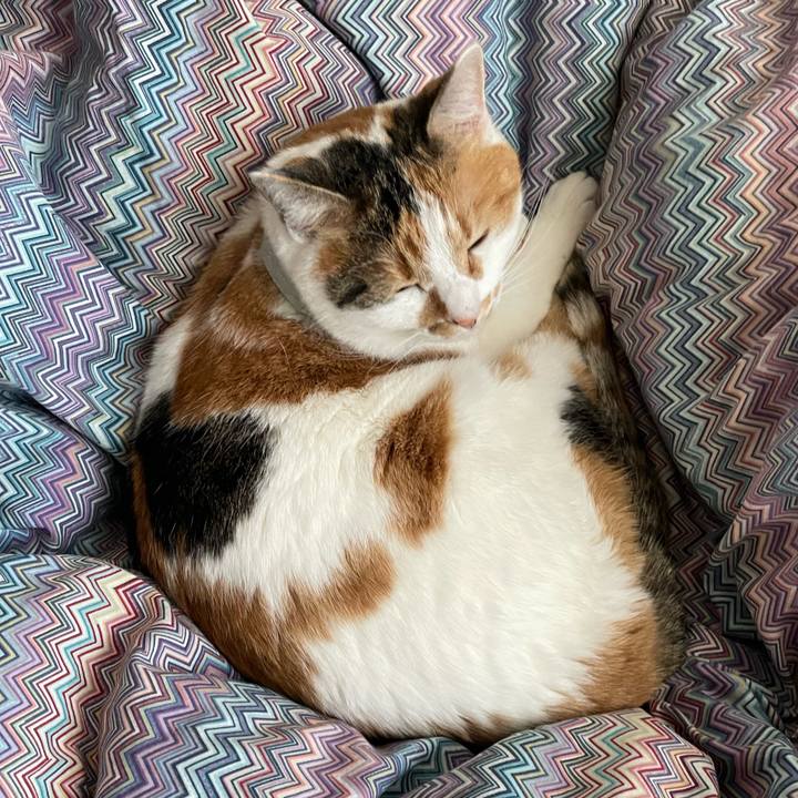 3115a970 4965 403e a488 451f922045f1 1675220679511