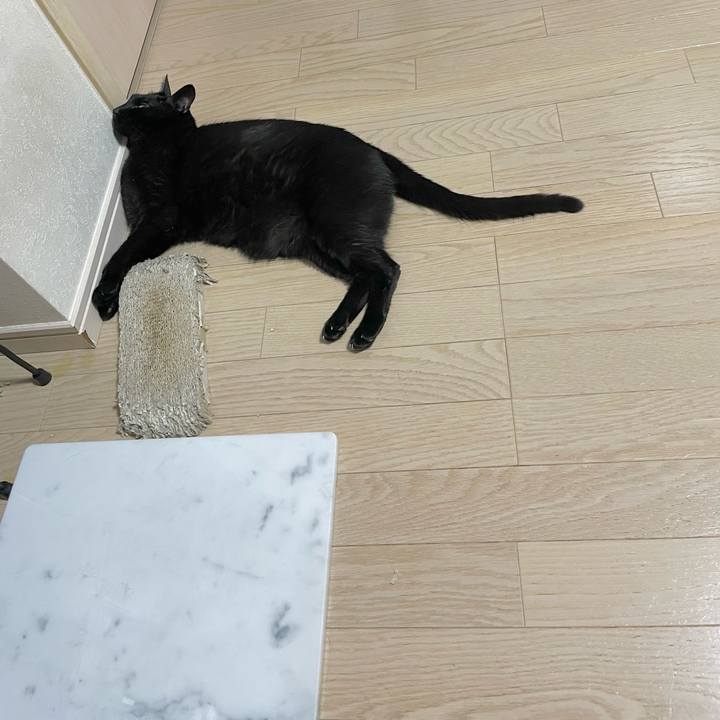 3115ba90 b584 4ad7 b9a6 8fe10c382cce 1656849550231