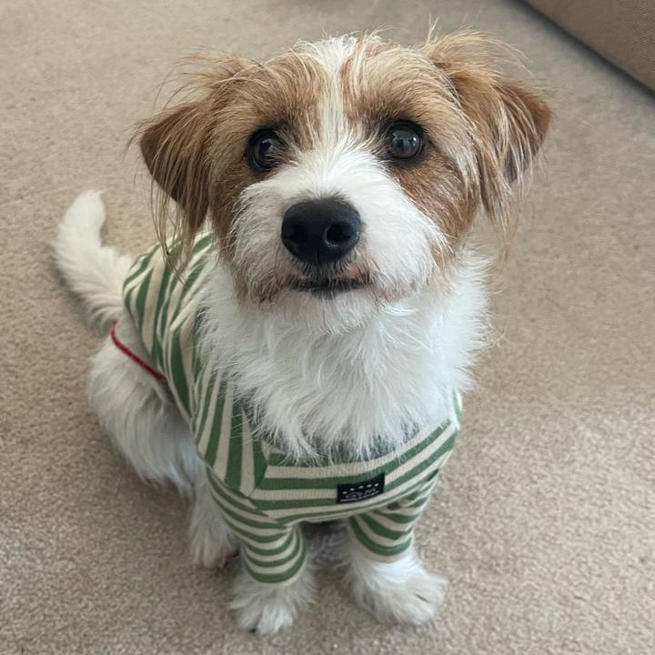 3115d6d7 fa6b 40e3 8d9f 7ca68f84d3b9 1767528928792