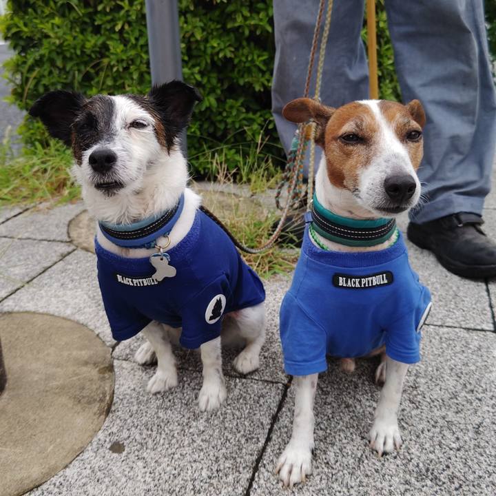 3115dde2 a55d 498f 8e73 566e5ed8da35 1726439081772