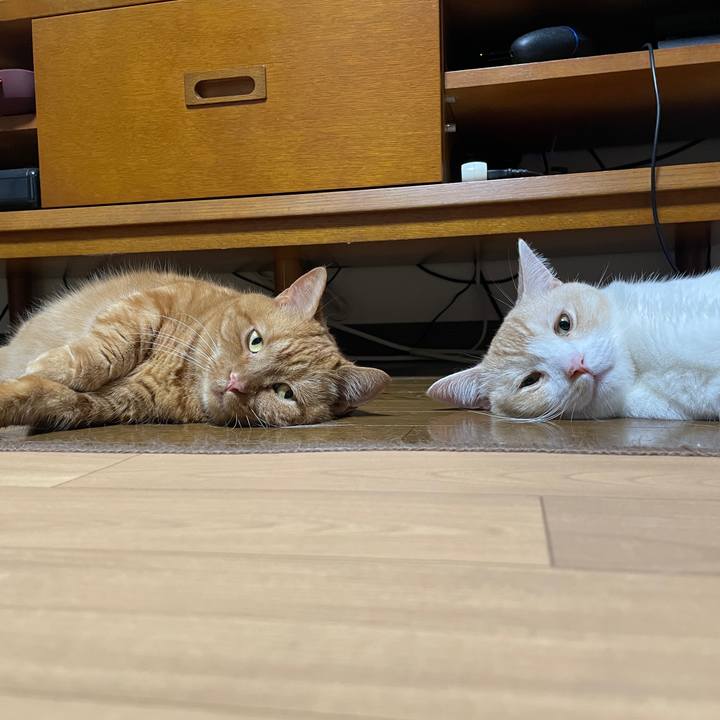 31162056 da23 4690 8692 090c8ad774f5 1688345510862