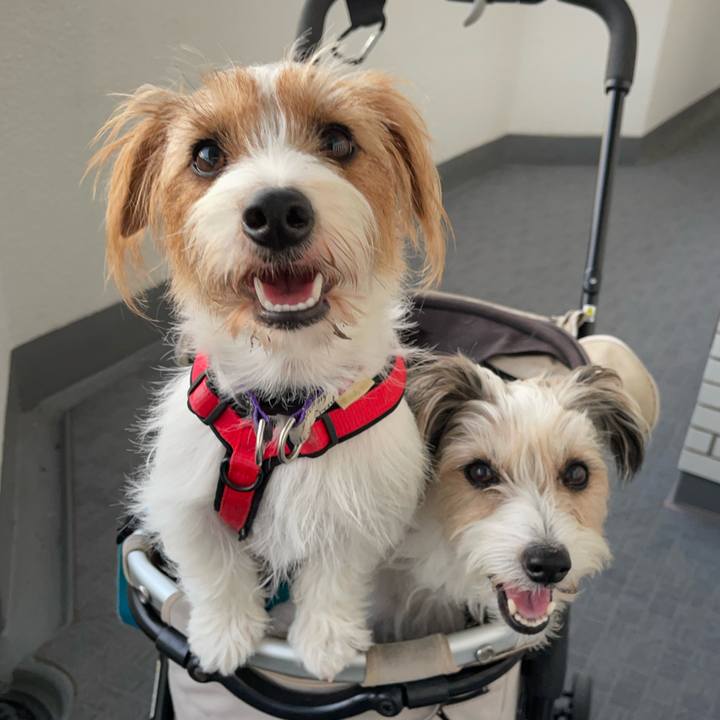 3116299d a4e9 4f34 9e7d 3aea7863cb15 1761650027520