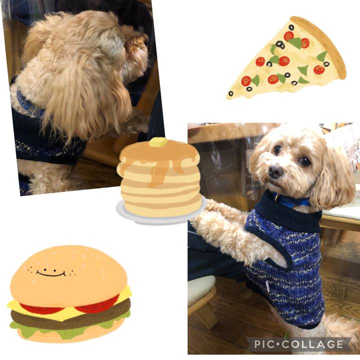 31164ae4 ecaf 4d0d 8902 dd46291c8b4d 1681042120897