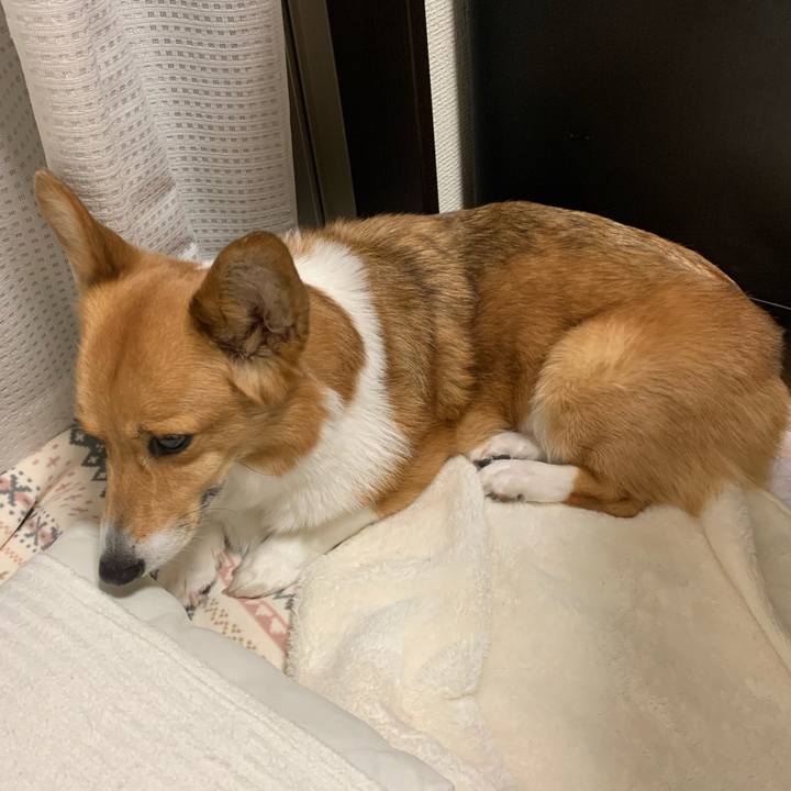 31166235 37c9 4acb aeb5 38a52745d45d 1588759214909