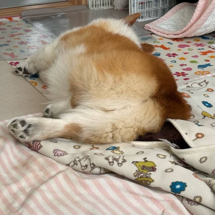 31167616 0ab2 4178 b1e7 a8af48d8a673 1774487732886