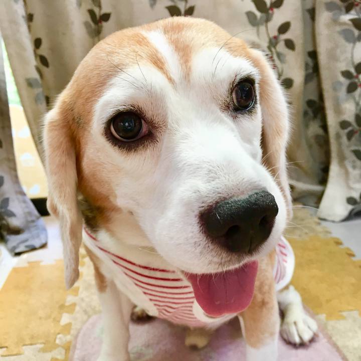 31168a38 919f 4926 b32d 31f4f7cd5ca6 1568089558027