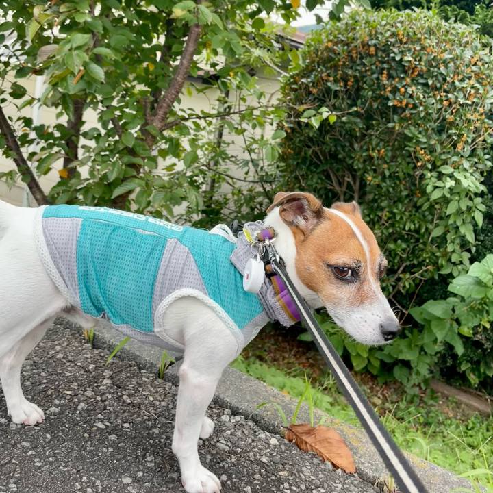 3116dfc0 c980 426a a094 8bee5d64fb76 1759478489568