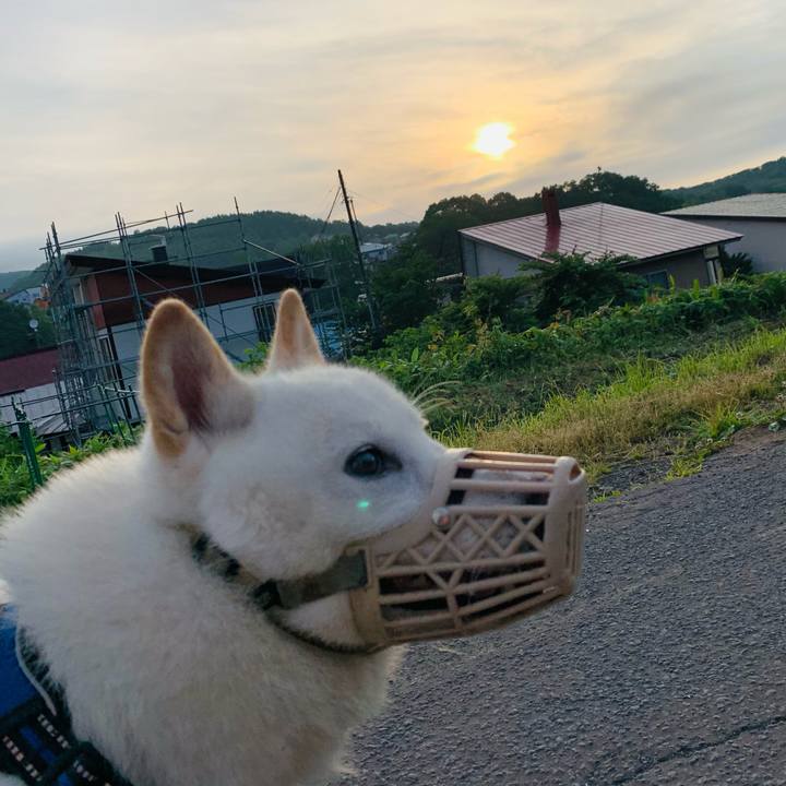 3117197e 3474 4bce 9997 2fc1e5ff0a8b 1624740440034