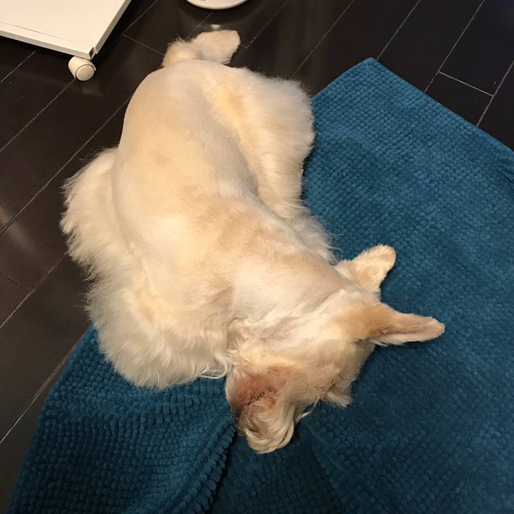 311729c0 4ce8 43d4 b141 7e73cae419e7 1515569822945