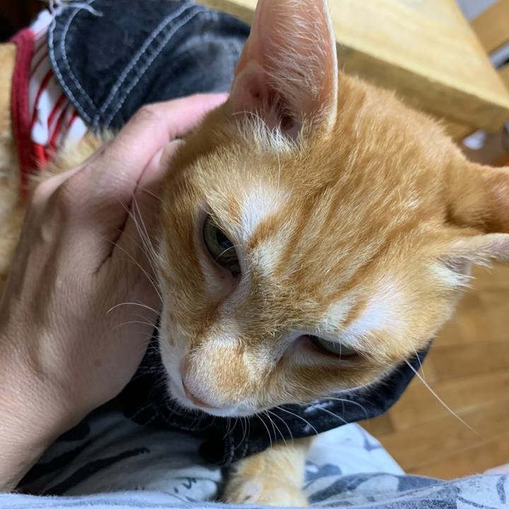 31172a1d 4bf0 408a b0cc 8347e1add420 1625137521357