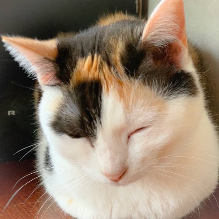 311735a4 abbe 46f1 8e40 0159e3e8299b 1560560678012